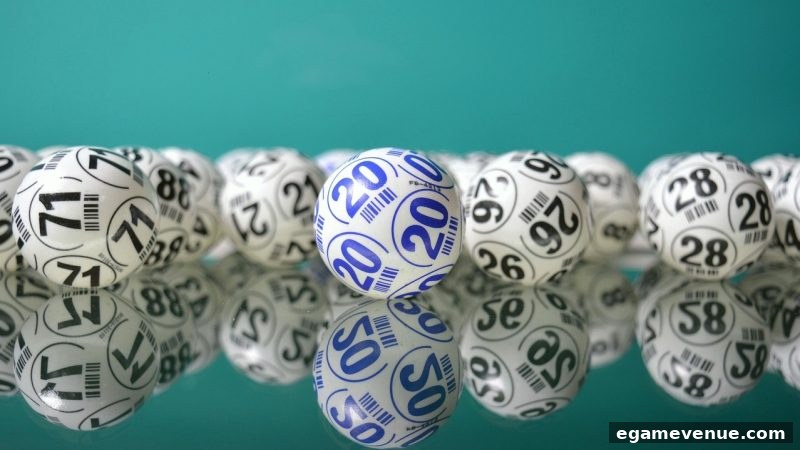 电子游艺场所中的胆码选择策略：从原理到实战的全面解析