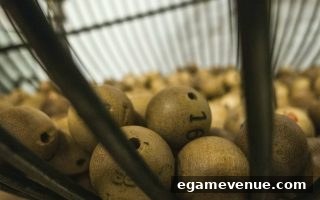 电子游艺场所中的数字游戏：洞悉开奖随机规律与理性参与之道