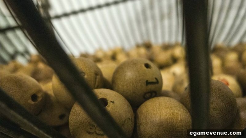 电子游艺场所中的数字游戏：洞悉开奖随机规律与理性参与之道
