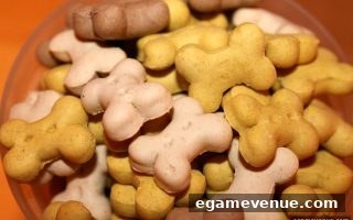 21点电子游艺场所VIP用户权益全解析：等级福利与充值异常应对策略