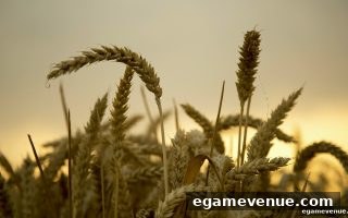 电子游艺场所签到积分深度解析：基础规则与累积策略