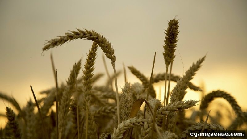 电子游艺场所签到积分深度解析：基础规则与累积策略