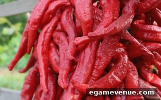 电子游艺场所内水果机的线条机制与中奖策略深度剖析