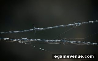 欧冠直播安全避险手册：电子游艺场所教您识破直播骗局